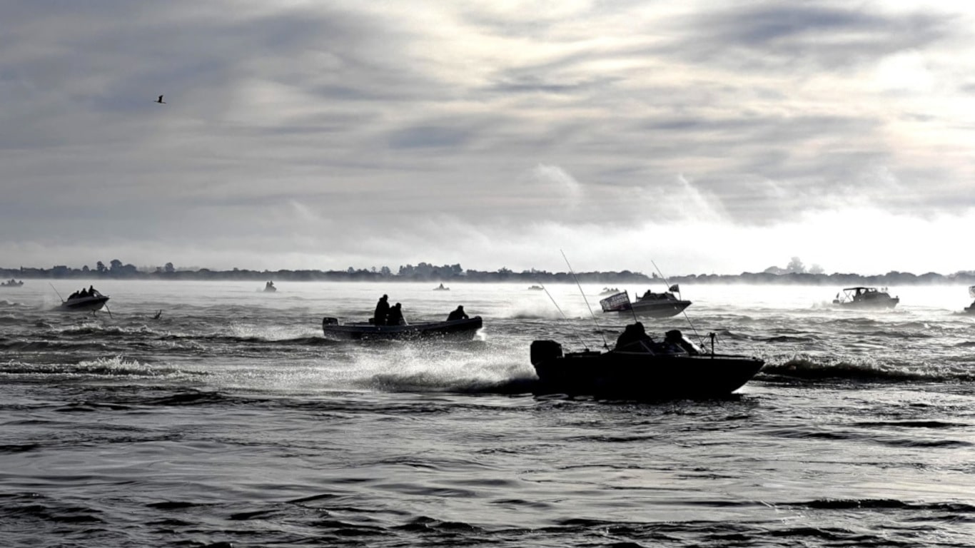 fiesta pesca variada embarcada con devolucion